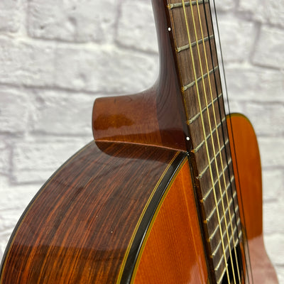 Segovia Cedar Classical Acoustic Guitar