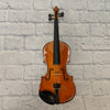 Palatino VN-350 4/4 Violin with Green Case