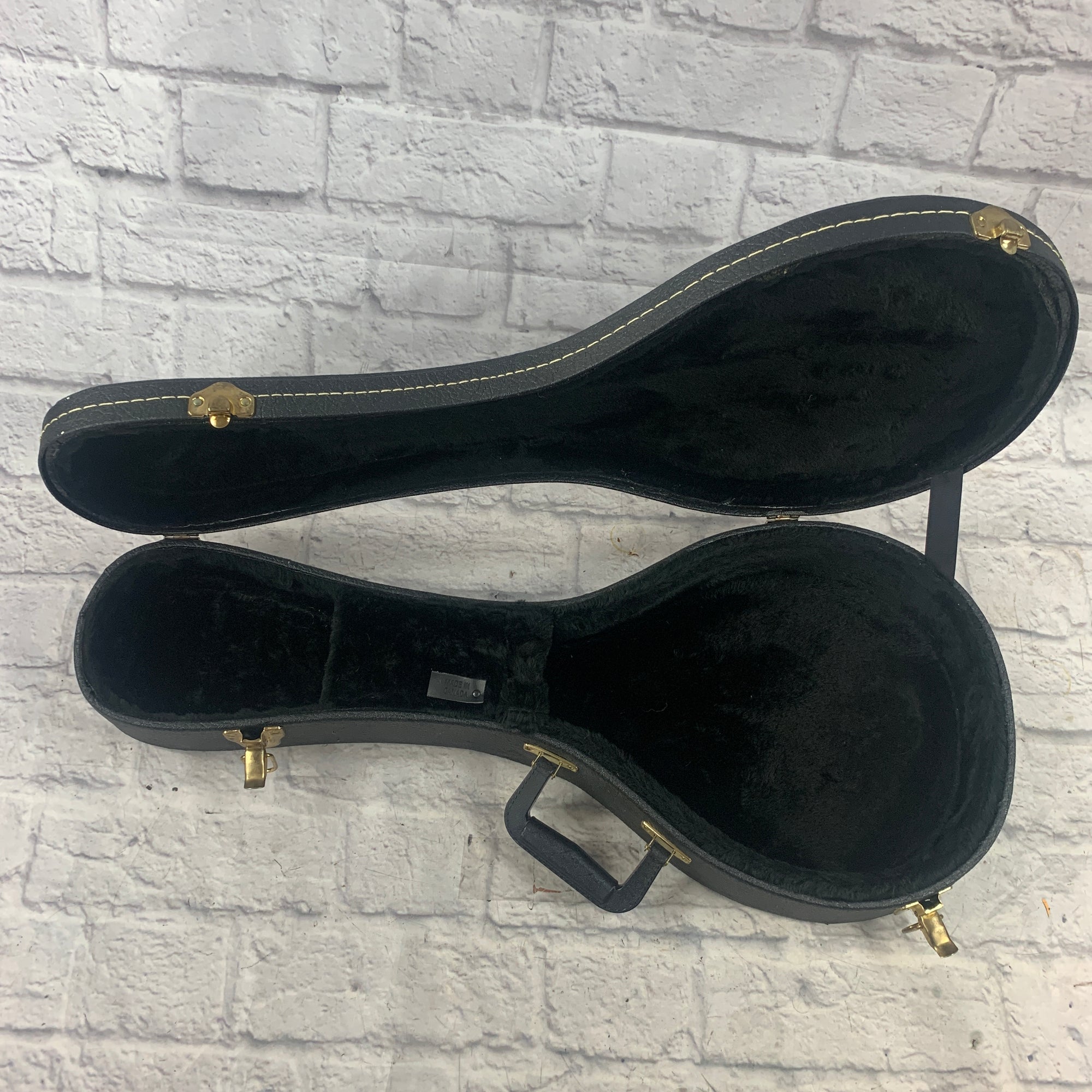 Unknown Mandolin Hardshell Case