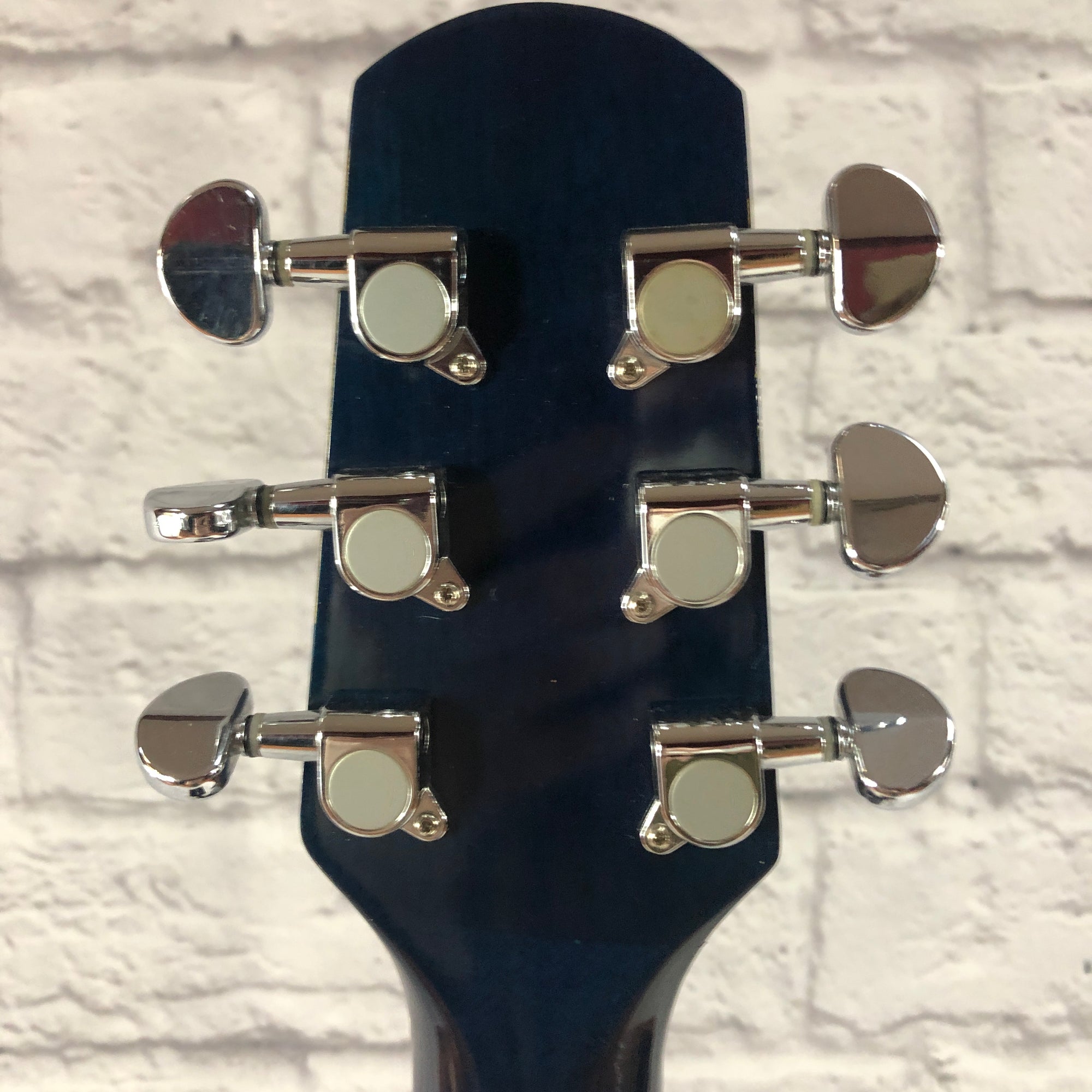 Walden D310SUW Acoustic Guitar