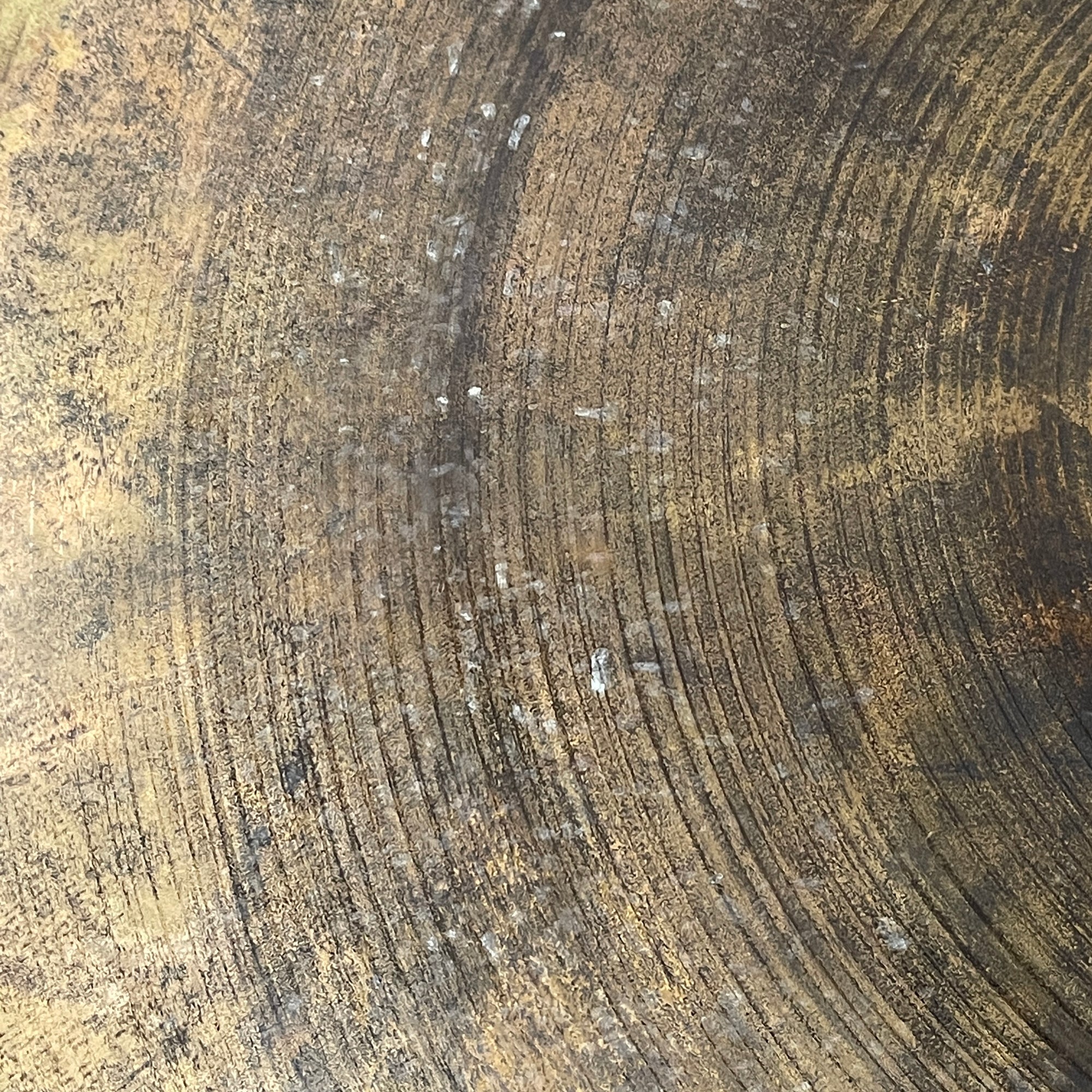 Sabian XSR 22 Ride Cymbal