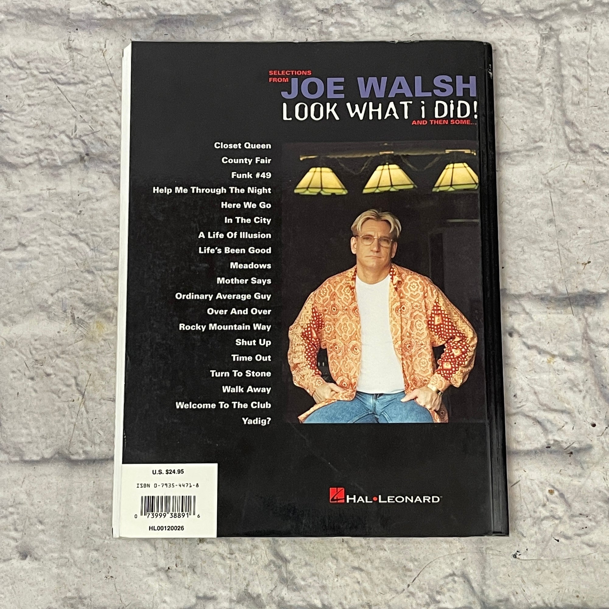 Look What I Did And Then Some By Joe Walsh