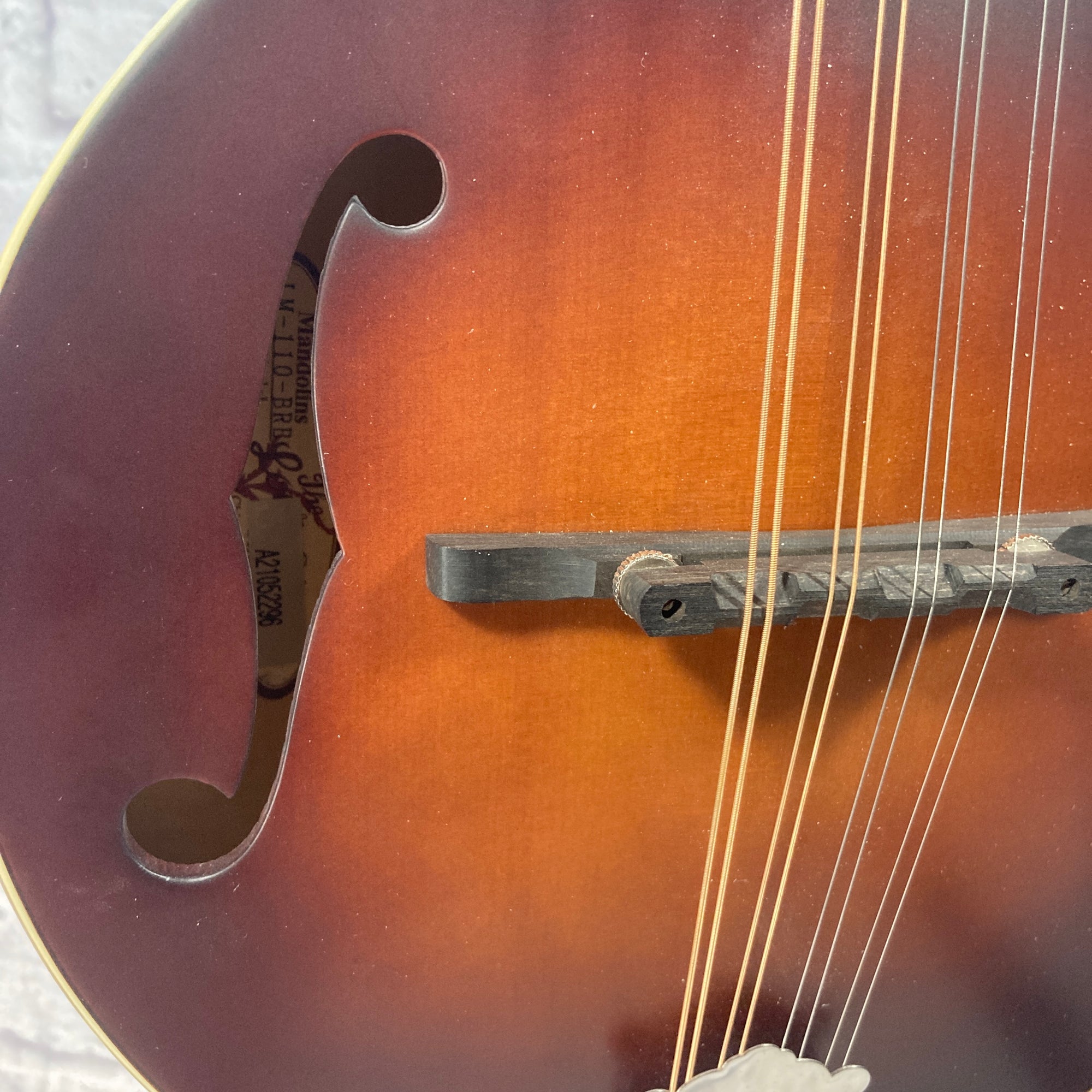 Loar LM-110-BRB Mandolin