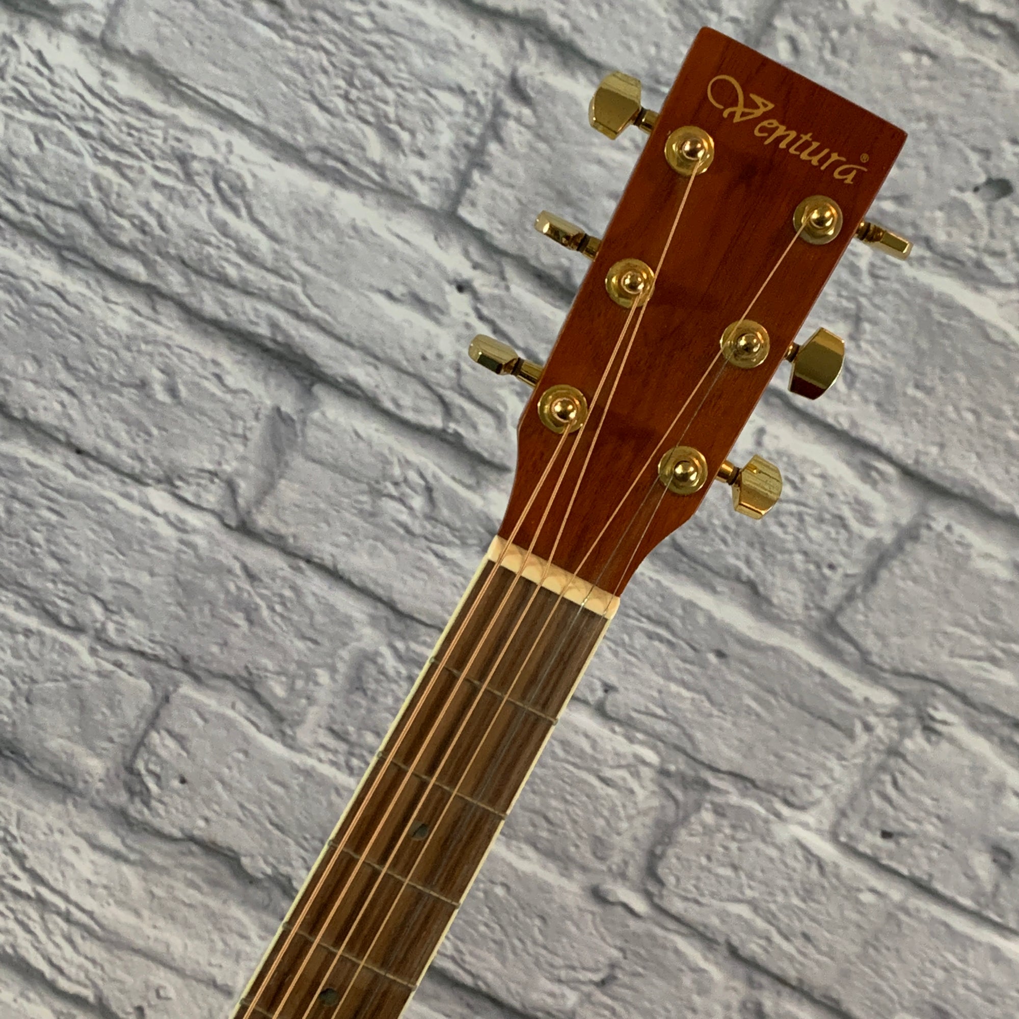Ventura VWD5NAT Acoustic Guitar with Solid Top - New Old Stock!
