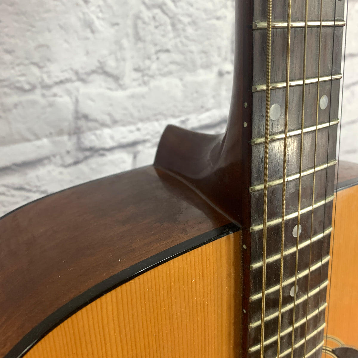 Fender Gemini II Acoustic Guitar Evolution Music