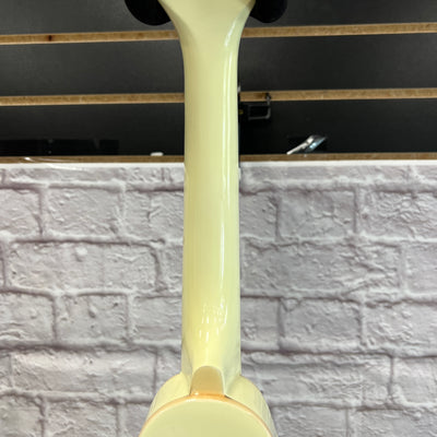 Ibanez M510EG-IV Mandolin
