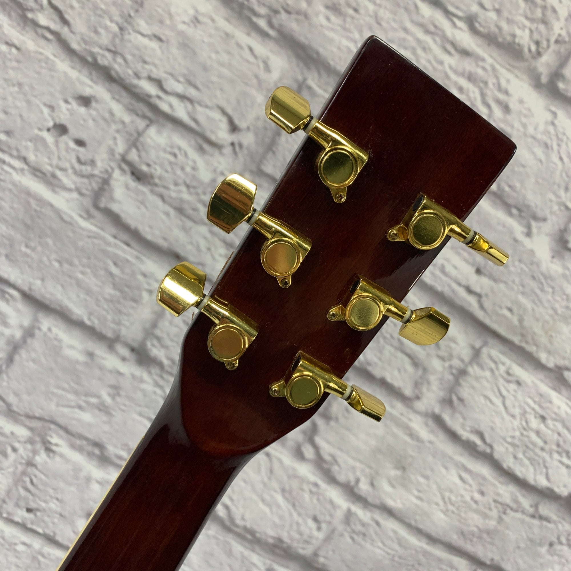 Ventura VWD5NAT Acoustic Guitar Natural