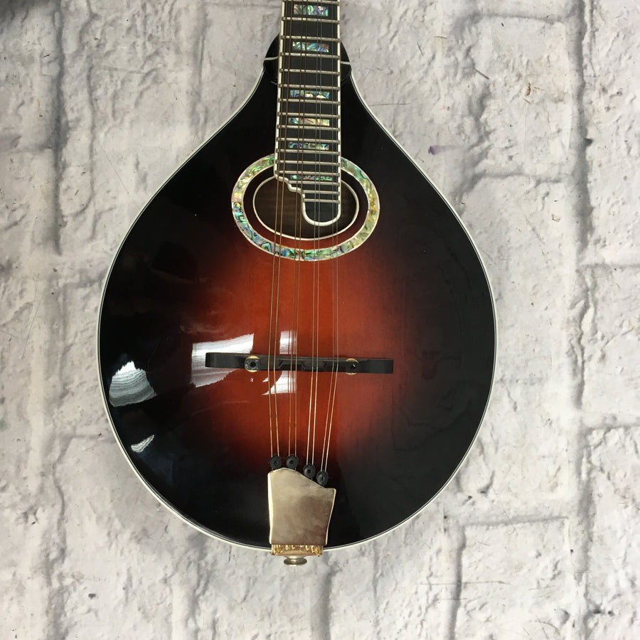 Michael Kelly Mandolin