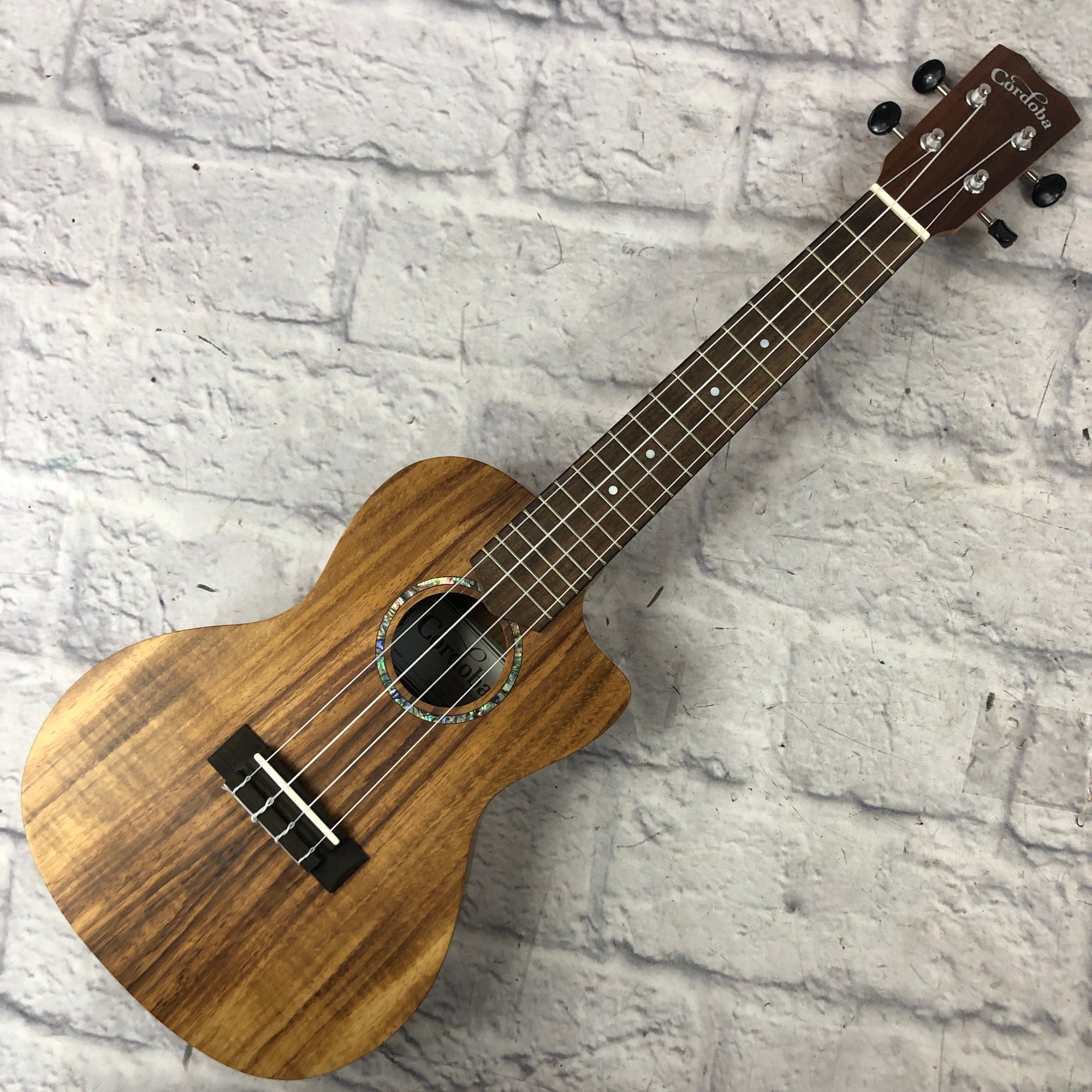 Cordoba 28C-CE Acoustic Electric Concert Ukulele - Evolution Music