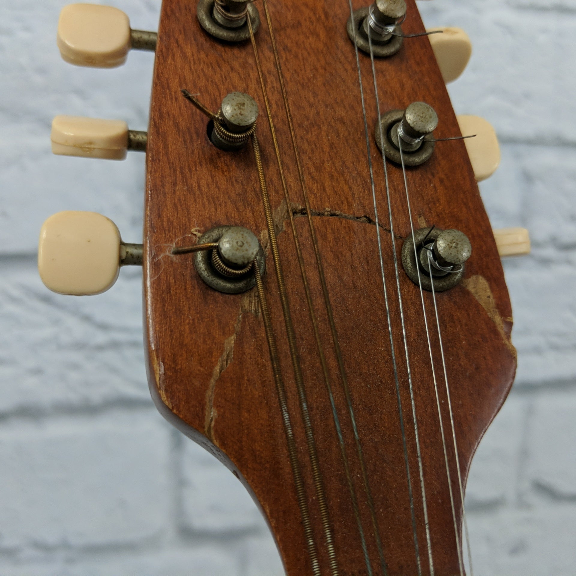 1975 Suzuki Mandolin with Silver Hardshell Case