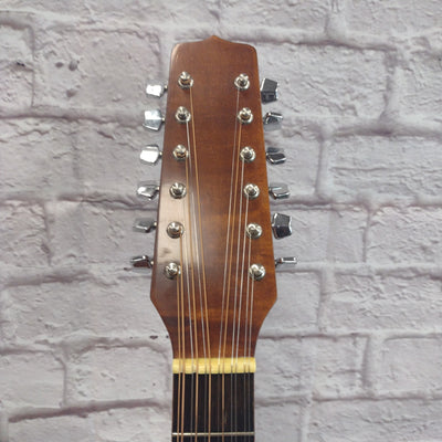 Hora W12205 12-String Acoustic Guitar with Case Made in Romania