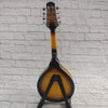 Rogue RM100A A-Style Mandolin with Bag
