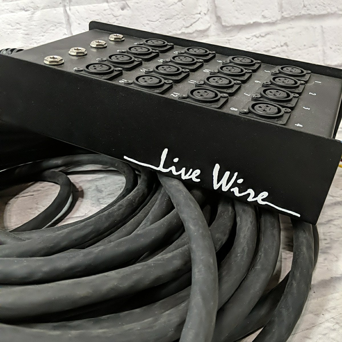 Livewire gc100e20s 16 x 4 100 Foot Snake