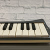Vintage 1960s Hohner Melodica Piano 26 w/ Case Made In Germany