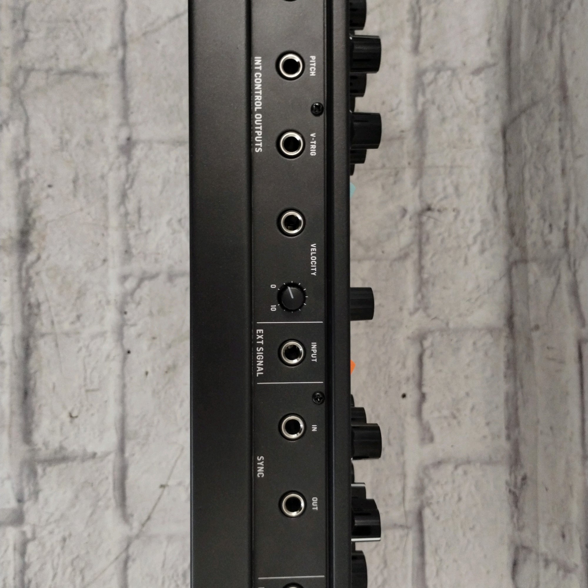 Behringer Poly D 4-Voice Polyphonic Synthesizer - Evolution Music