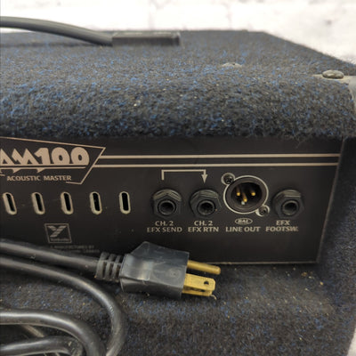 Yorkville AM100 Acoustic Guitar Amp