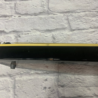 Sunburst Autoharp