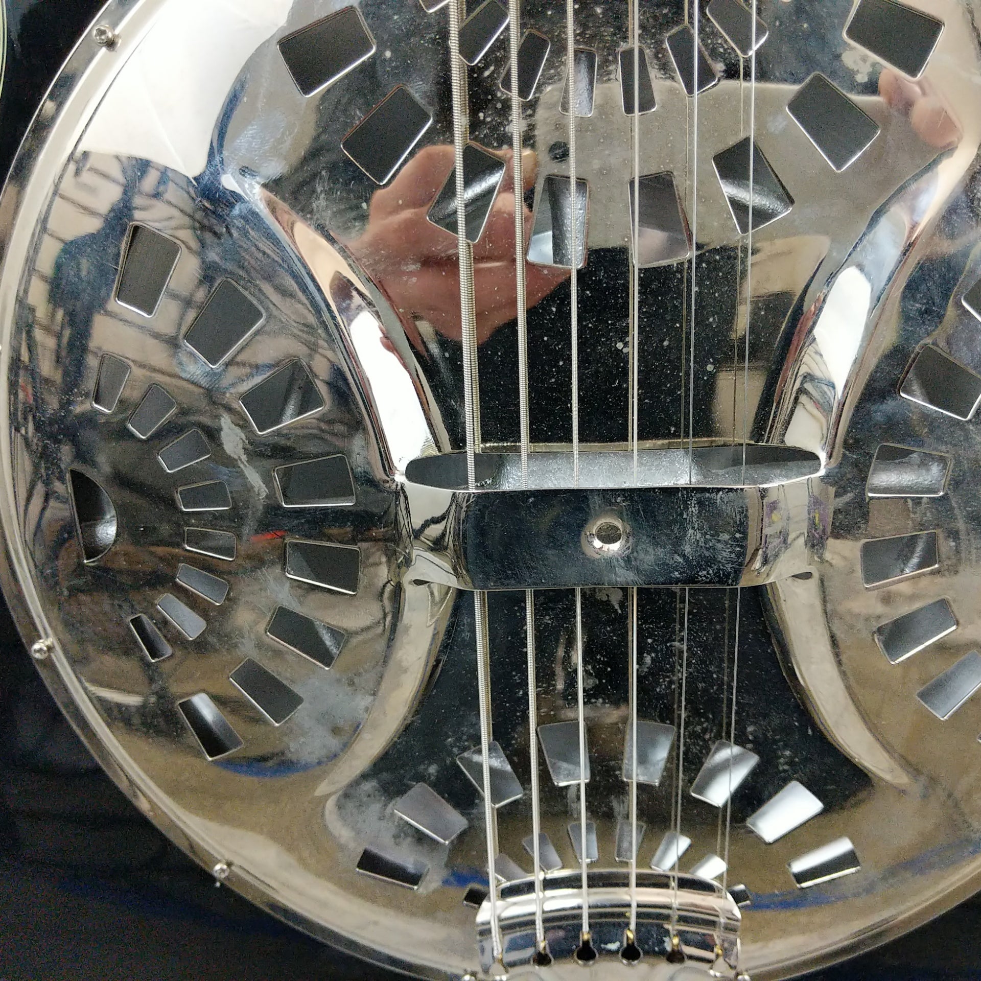 Rogue Classic Spider Resonator Regular Black Roundneck