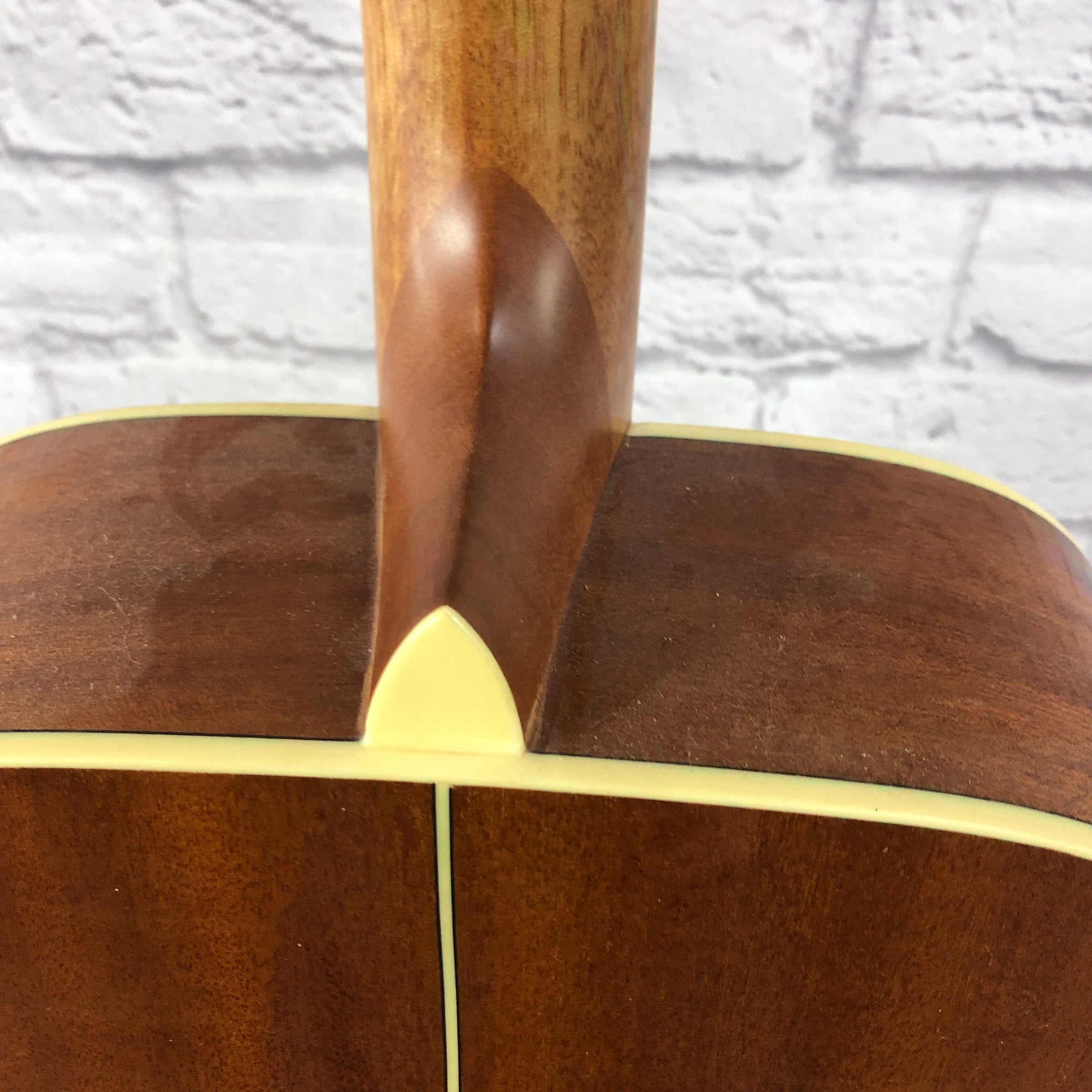 Washburn WD10 Acoustic Guitar