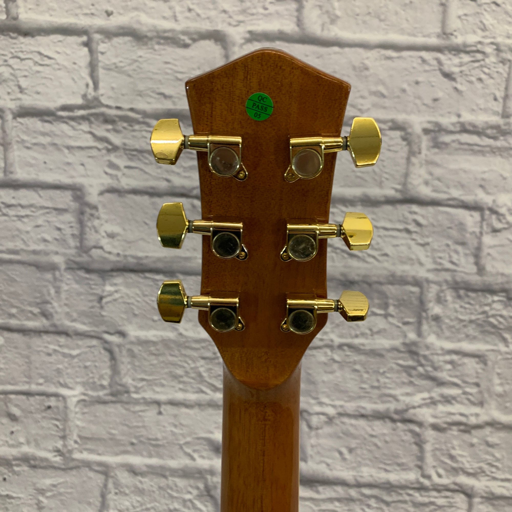 Ventura VJ2NAT Acoustic Electric Guitar