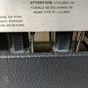 Zinky Thorn amp head Guitar Amp Head