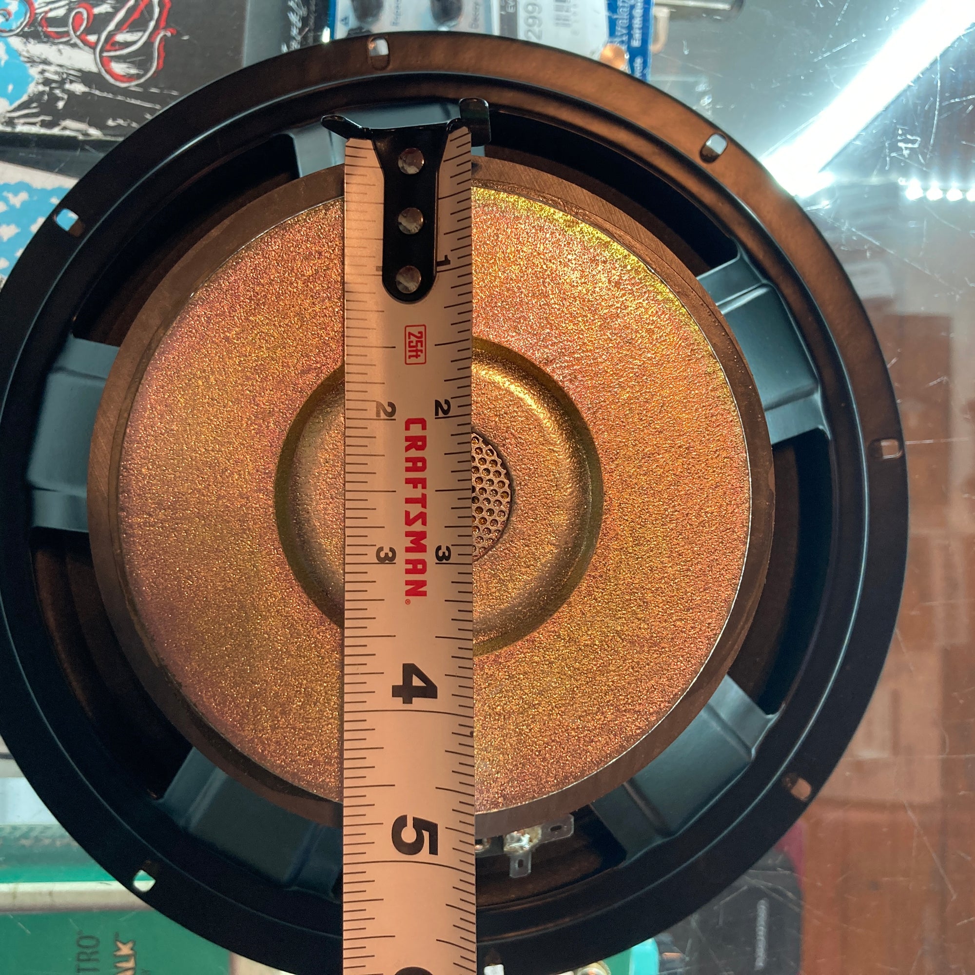 Unknown Chinese 10 Inch Speaker