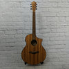 Ibanez Exotic Wood AEW40ZW-NT Acoustic-Electric Guitar