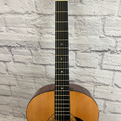 Hohner HW200 Acoustic Guitar