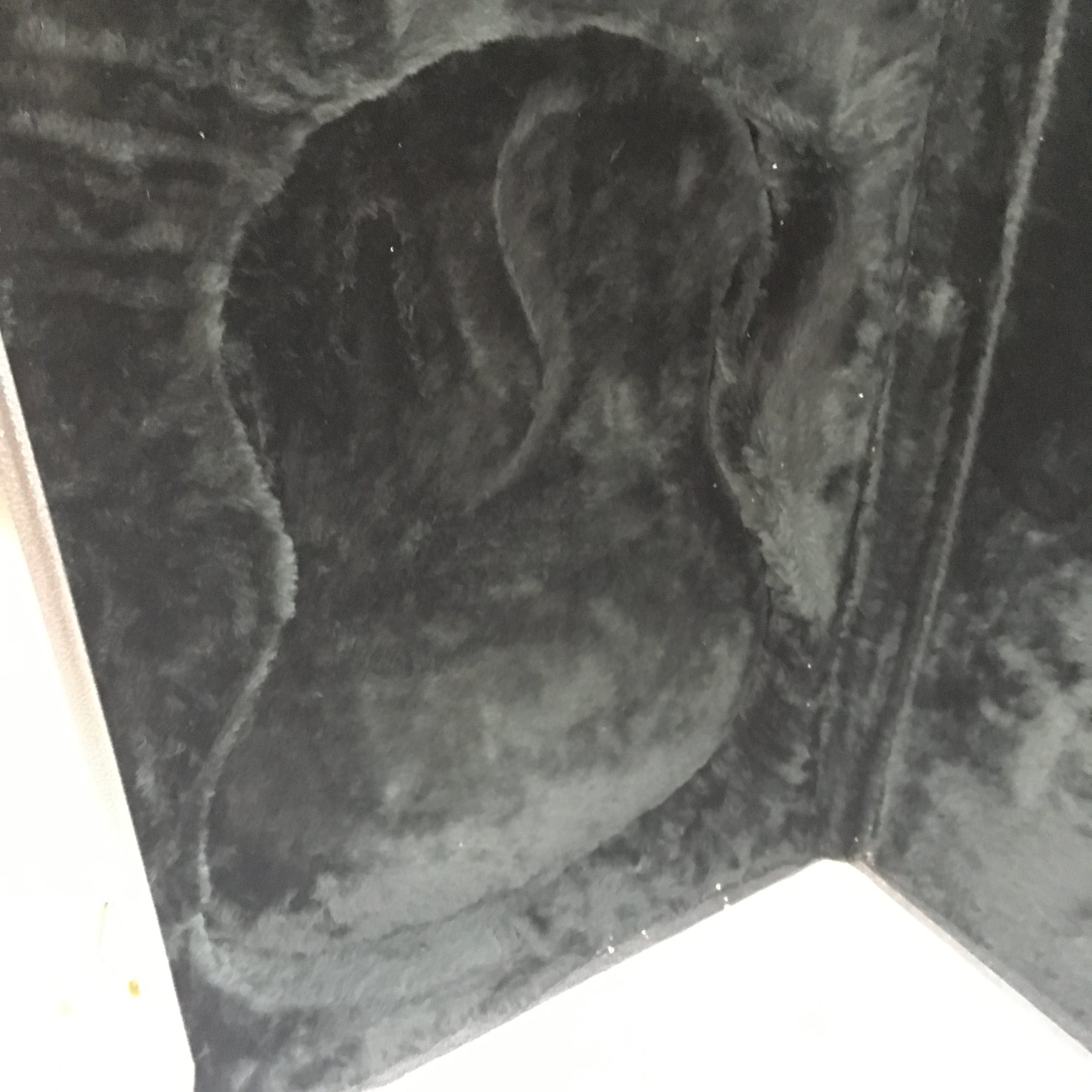 Hamer Short Scale Bass Hard Case