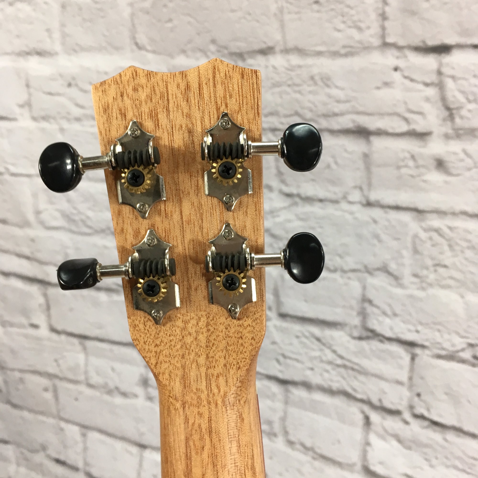Cordoba 24T Tenor Ukulele