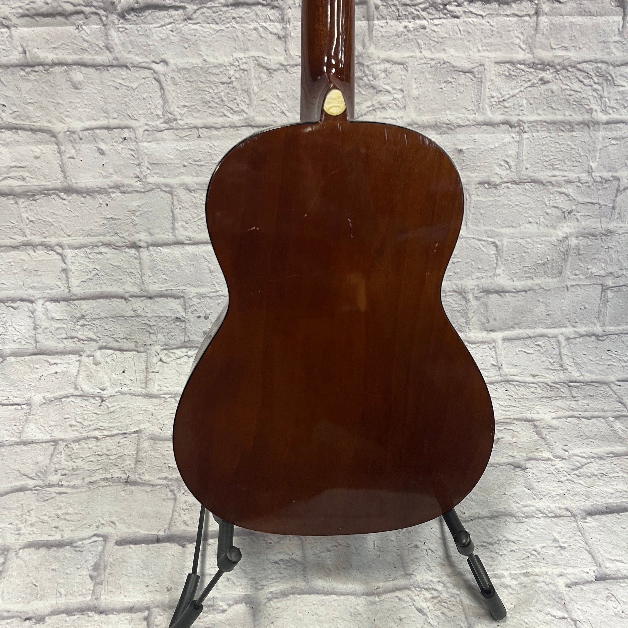 Eagle Acoustic Guitar