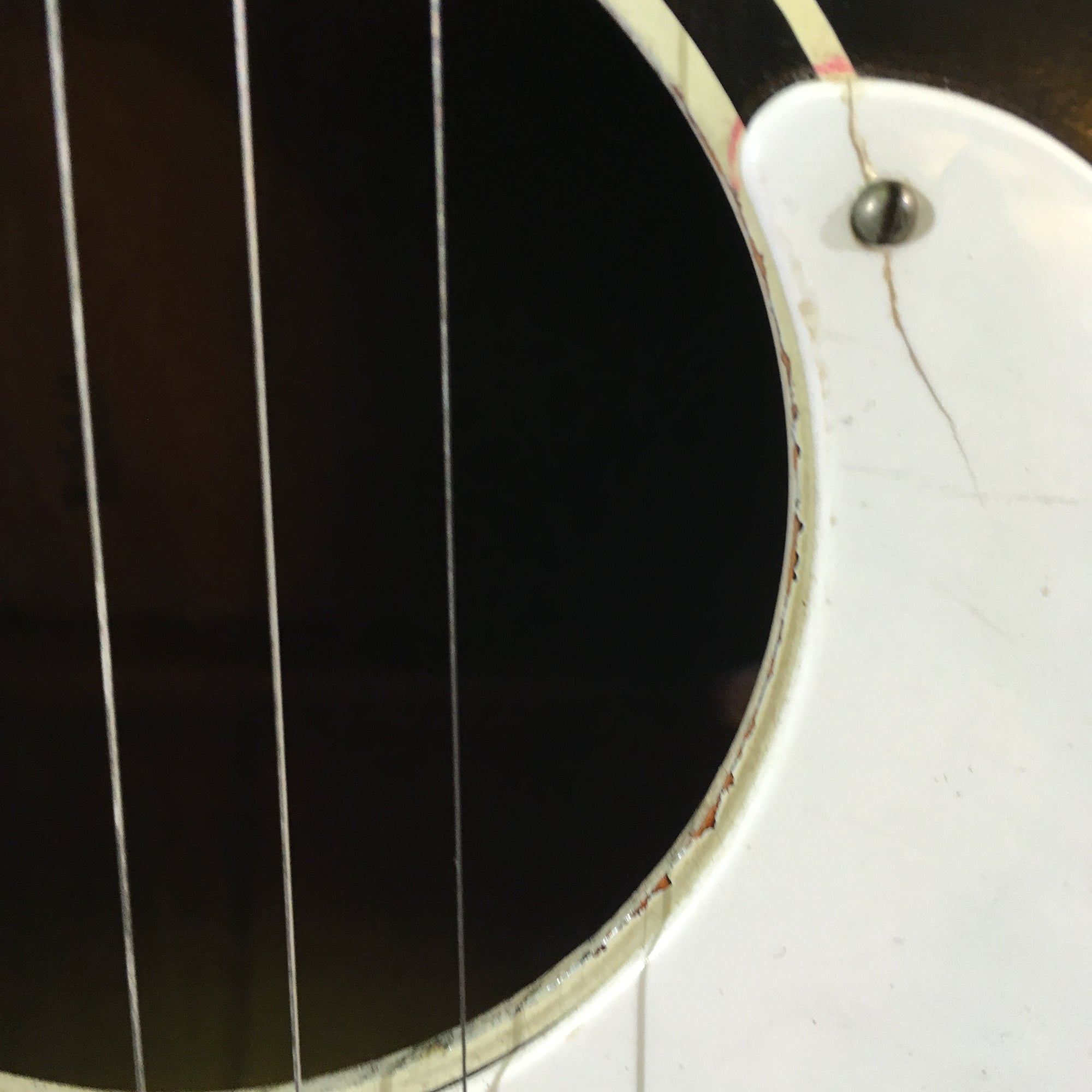 Silvertone Parlor Acoustic Guitar