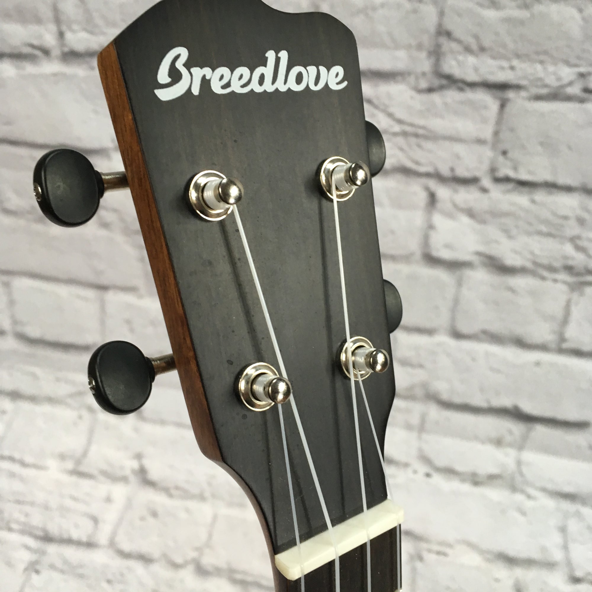 Breedlove Pursuit Ex Cu S Concert Ukulele