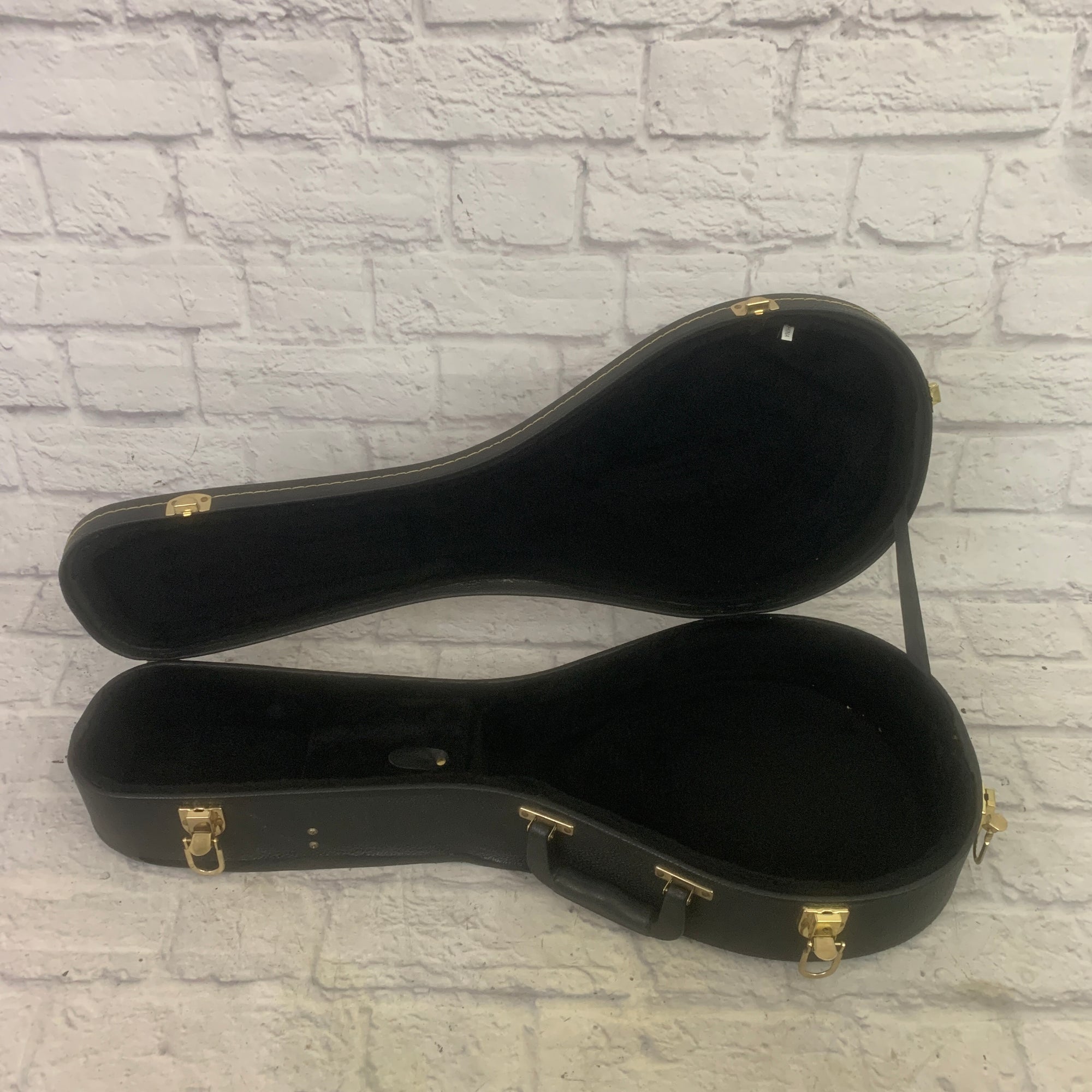 Unknown Mandolin Case Mandolin Case
