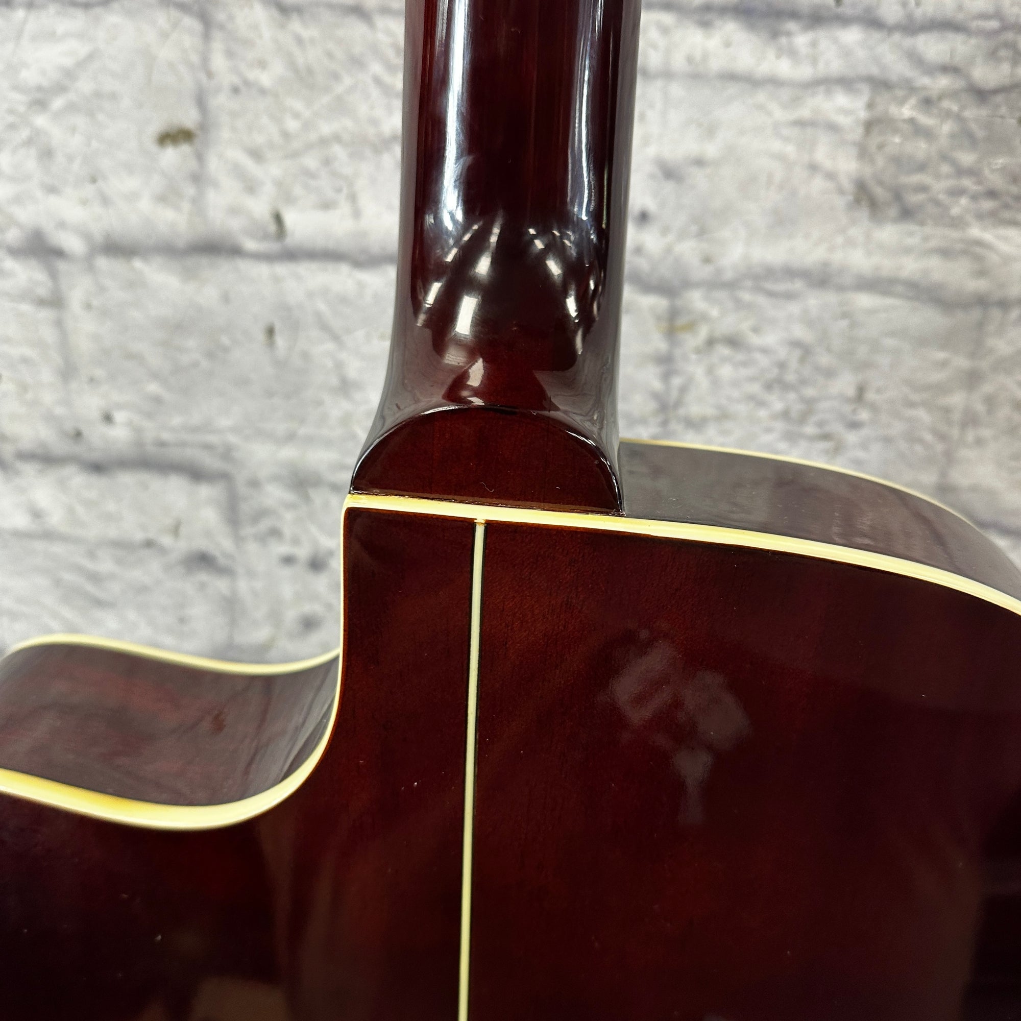 Carlo Robelli CW4103FCS Thinline Acoustic Electric Guitar