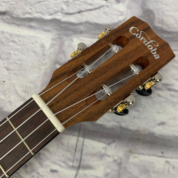 Fender California Coast Rincon Tenor Ukulele Ukuleles Evolution Music