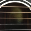 Silvertone Parlor Acoustic Guitar