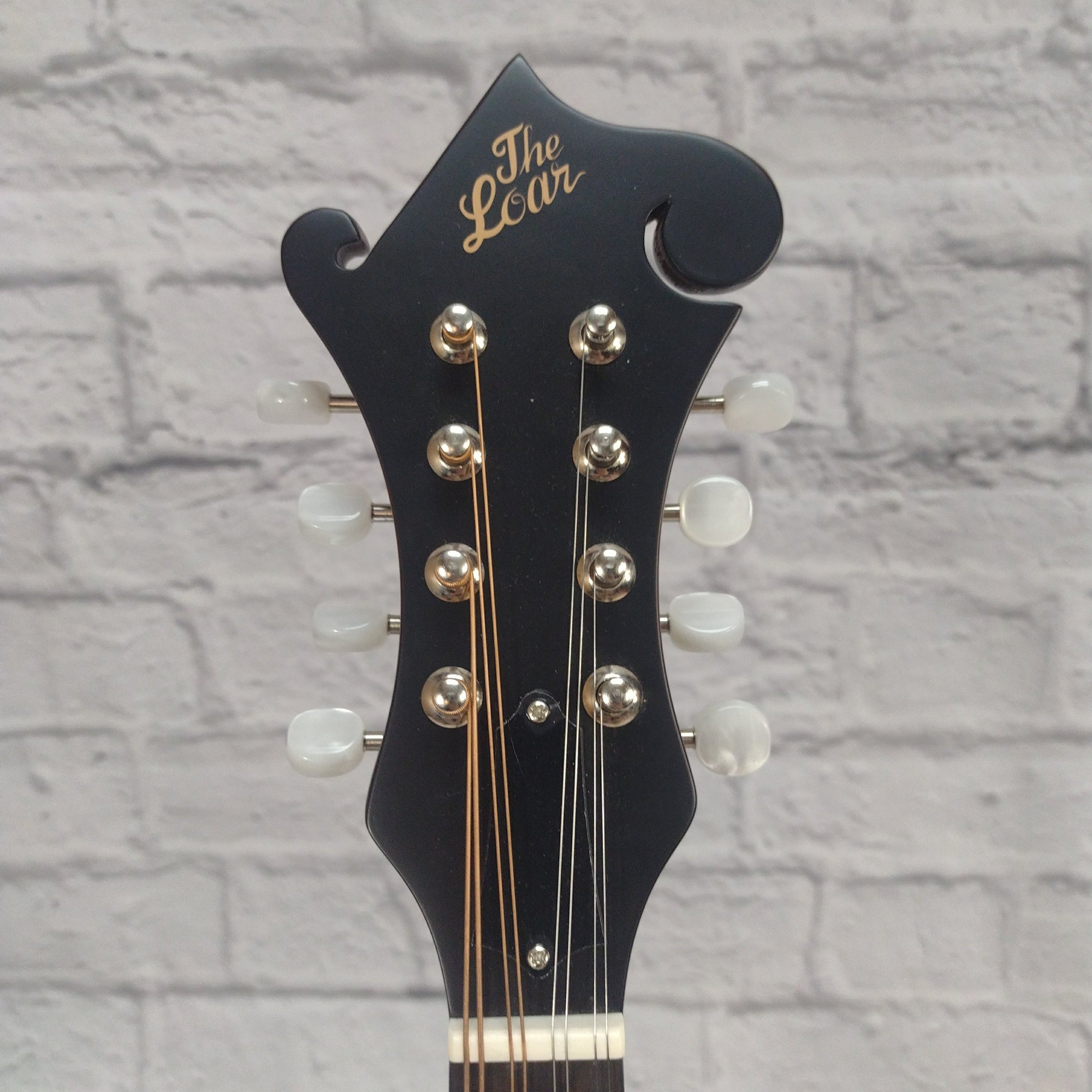 The Loar LM-310F-BRB Mandolins
