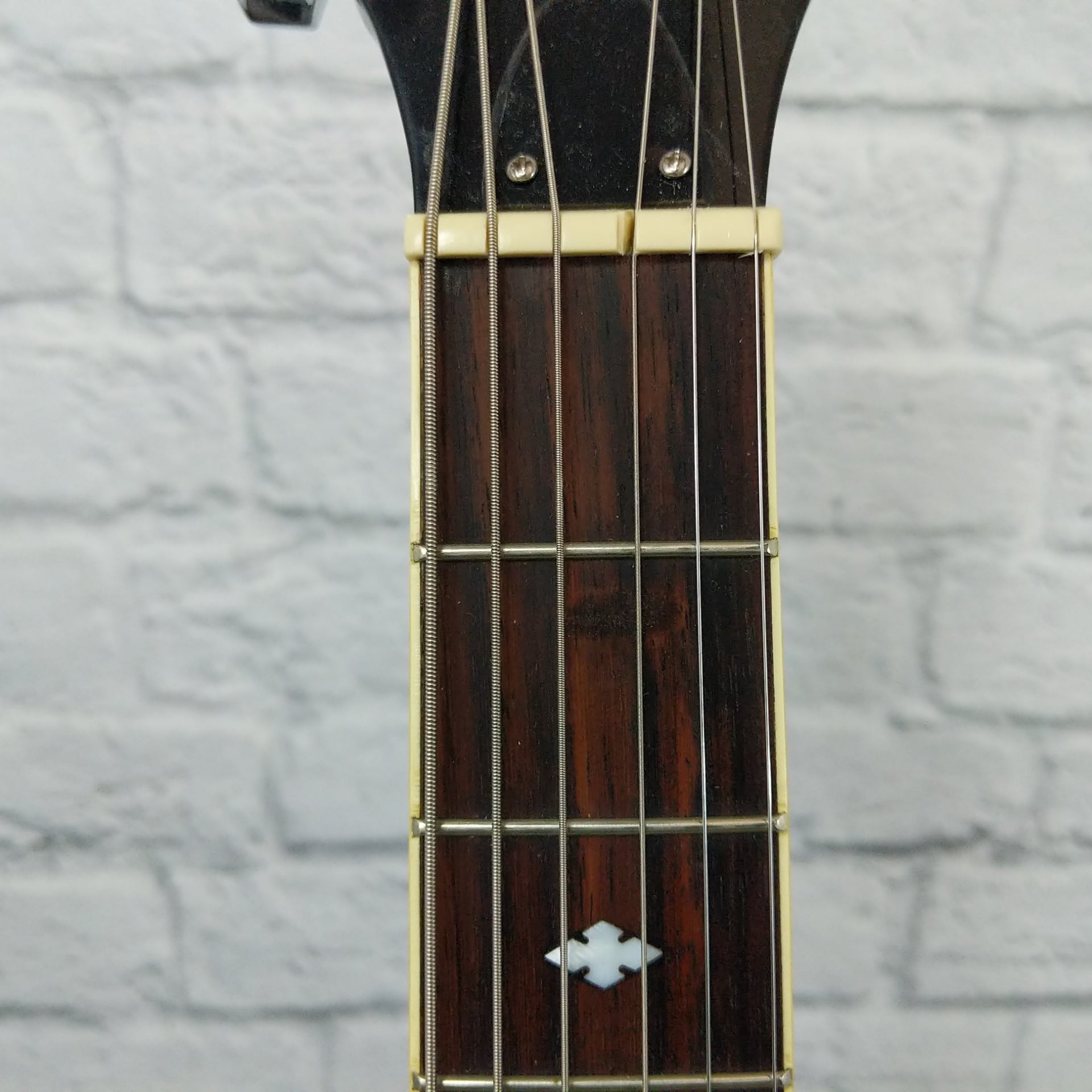 Rogue Classic Spider Resonator Regular Black Roundneck
