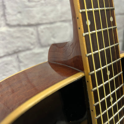 Austin AA50-D/SB Acoustic Guitar w Hardcase