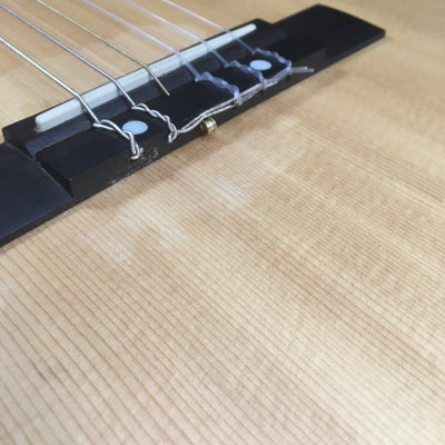 Fender ESC105 Classical w/ Road Runner Case