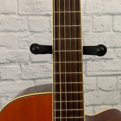 Salvador Ibanez AEG10NE Classical Acoustic-Electric Guitar