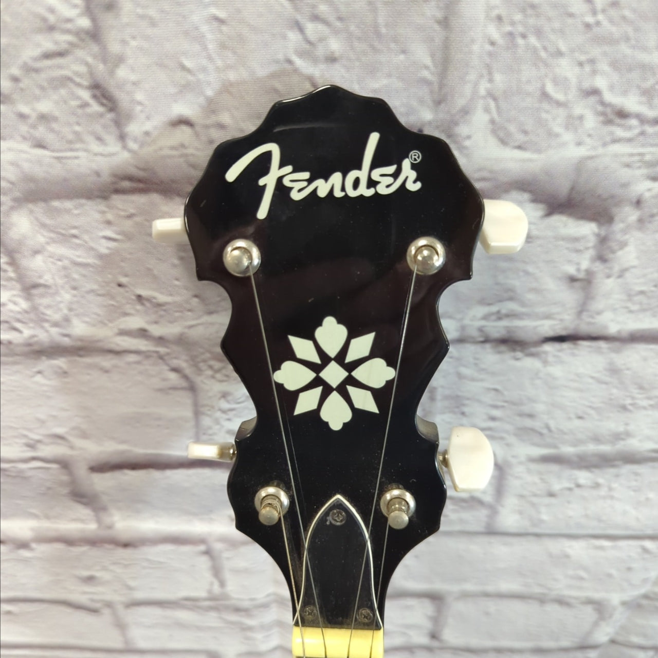 Fender 5 String Banjo with HSC