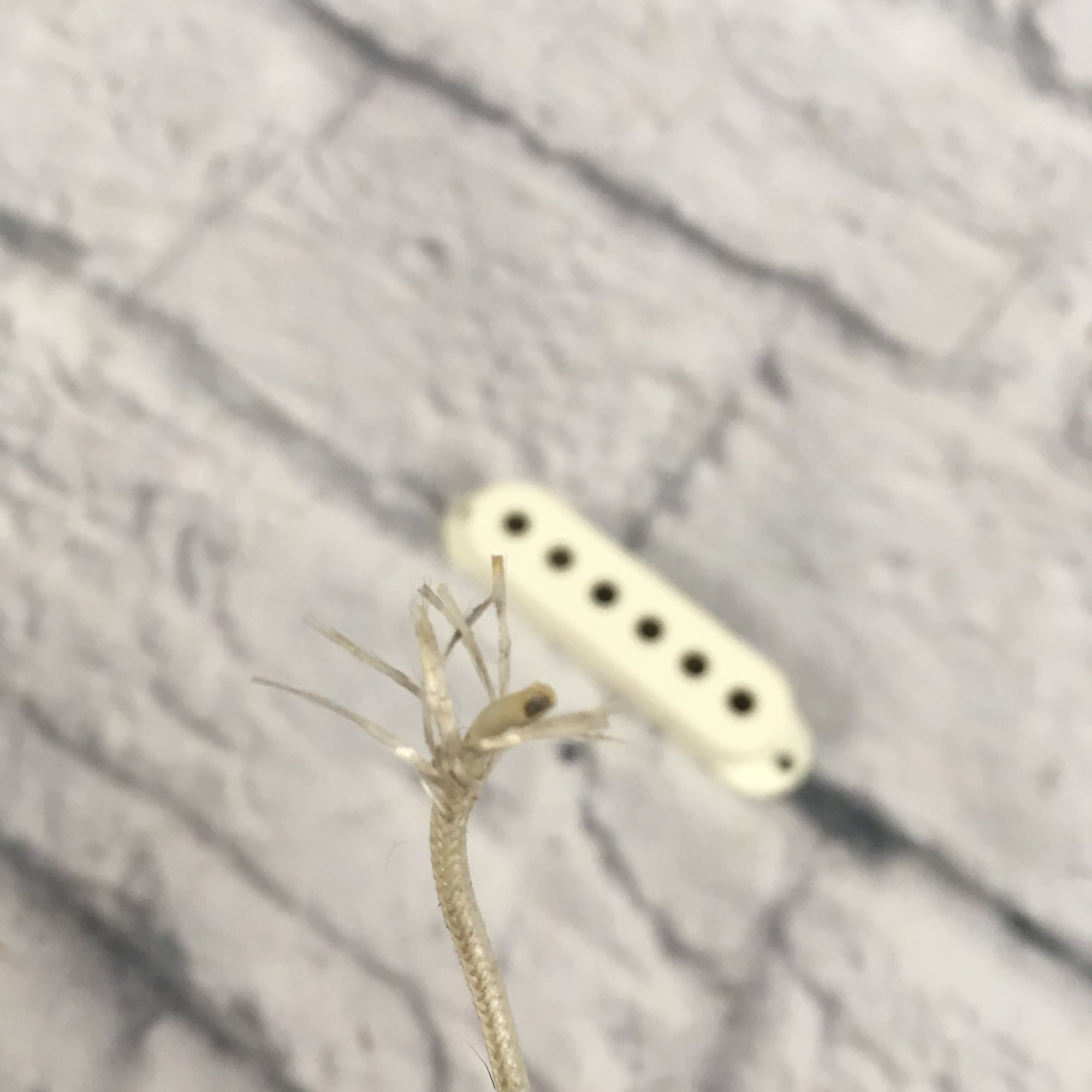 Unknown Single Coil White Pickup