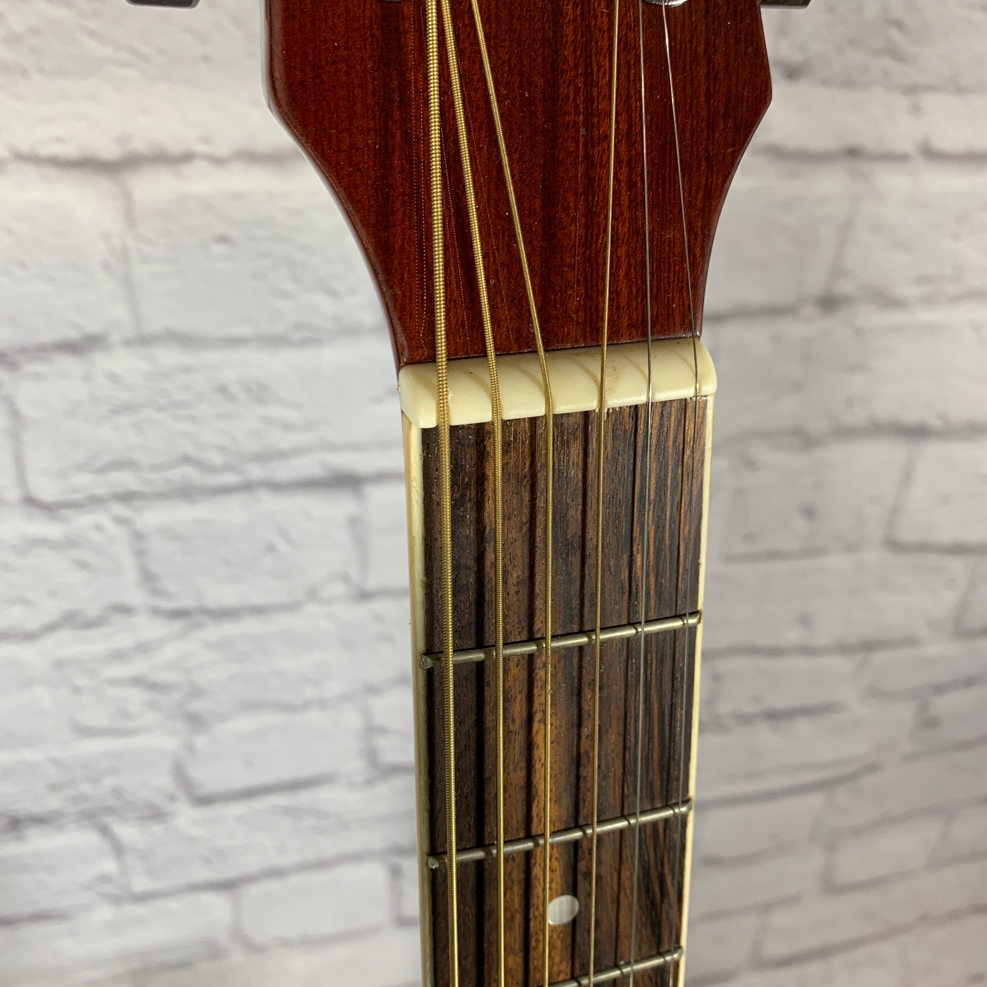 Glen Burton GA204BCO-BK Acoustic Guitar