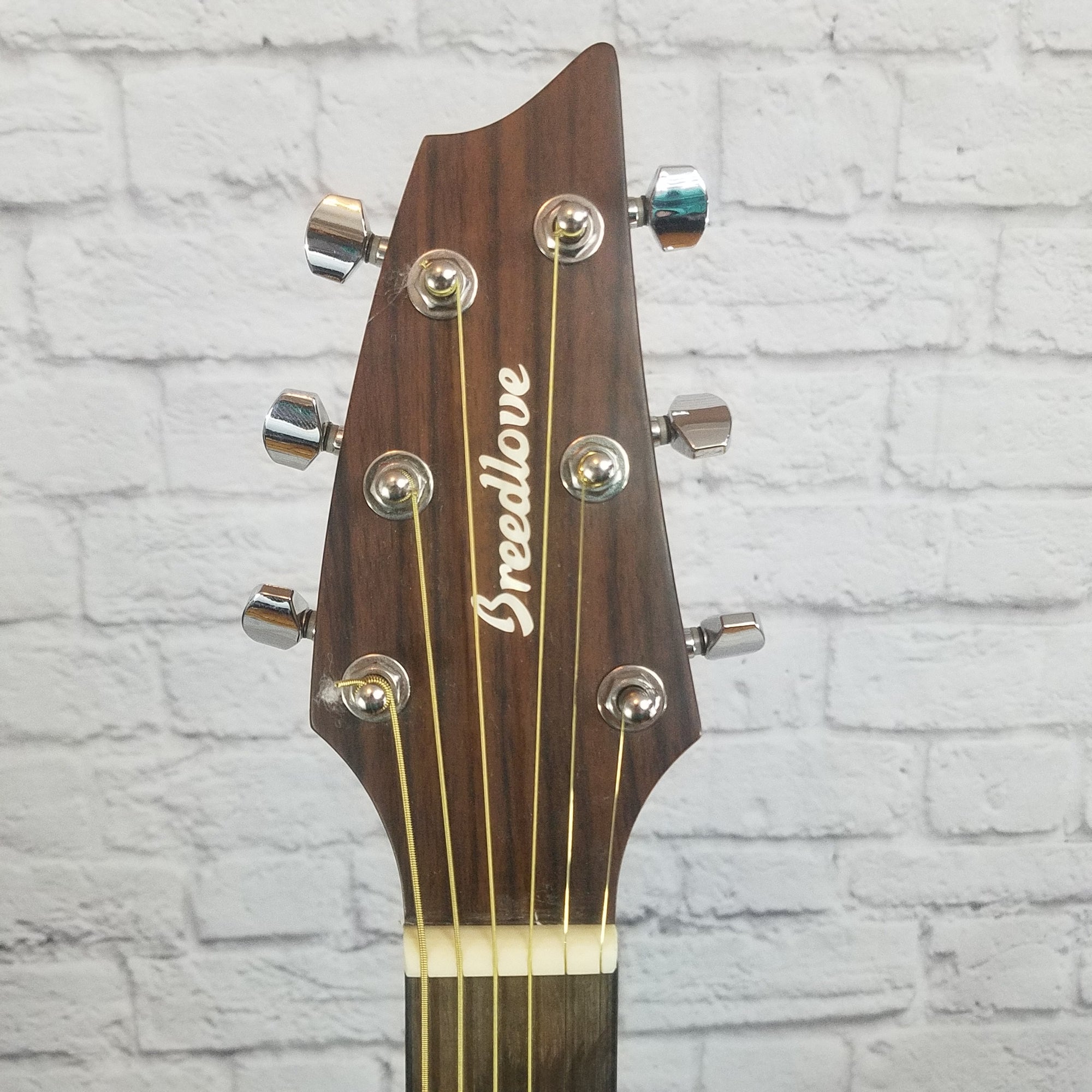 Breedlove Pursuit concert Mahogany Acoustic Guitar