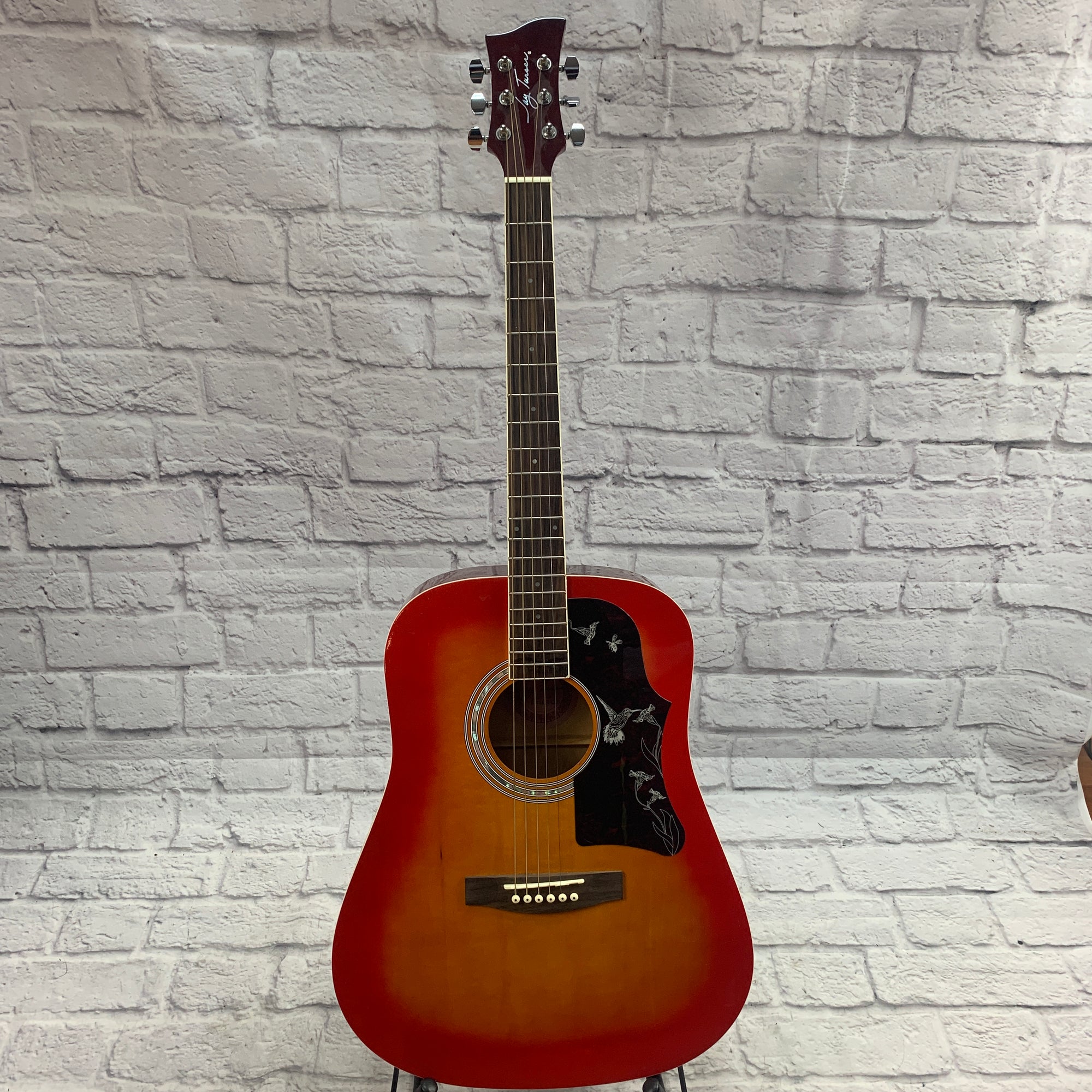 Jay Turser Acoustic Guitar - Evolution Music