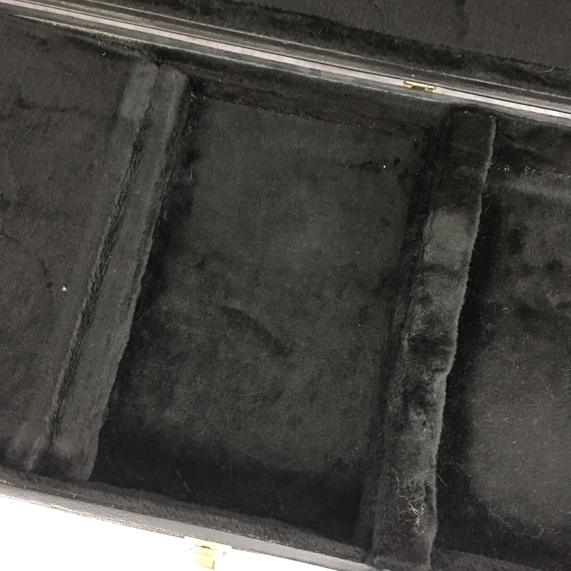 Unknown Hard Shell Bass Case