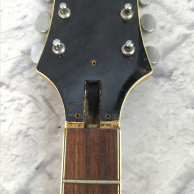 Epiphone Japan Semi Hollow Neck Body Project