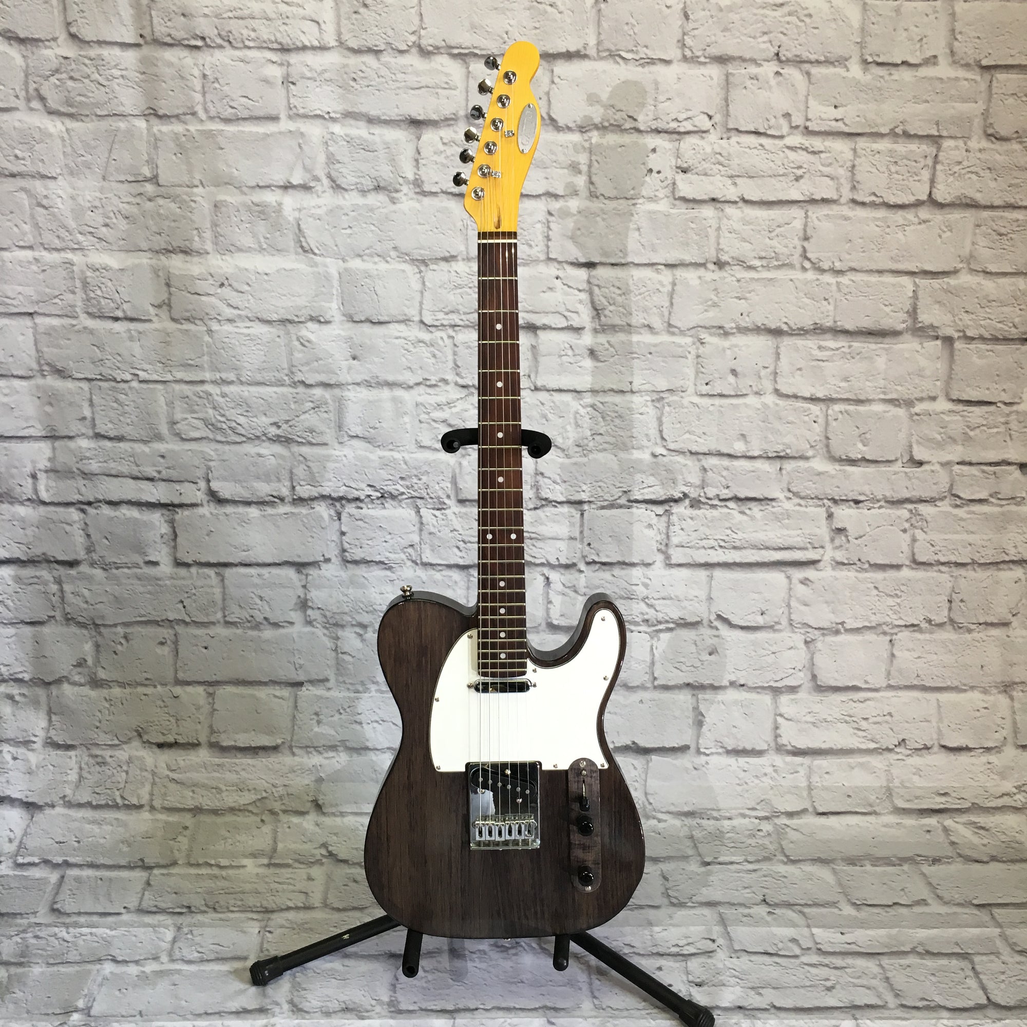 Gatto Tele Style Electric Guitar Trans Black Finish
